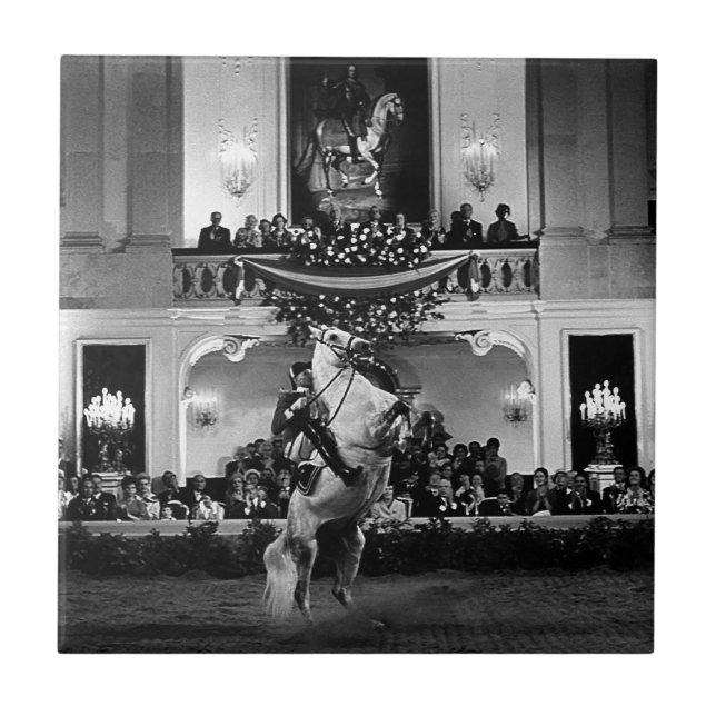 Carreau Vintage Autriche Vienne Courbette espagnole (Devant)