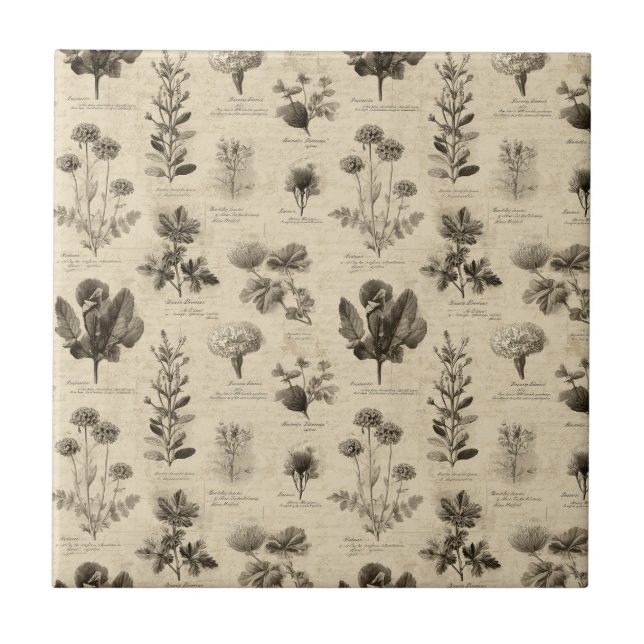 Carreau Vintage Botanical Floral Pattern (11) (Devant)