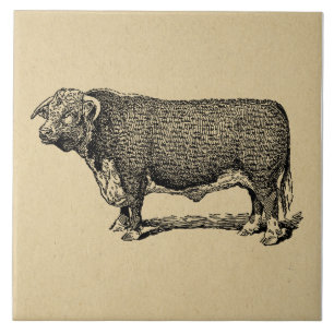 Carreau Vintage Bull Country & Farm Theme Art