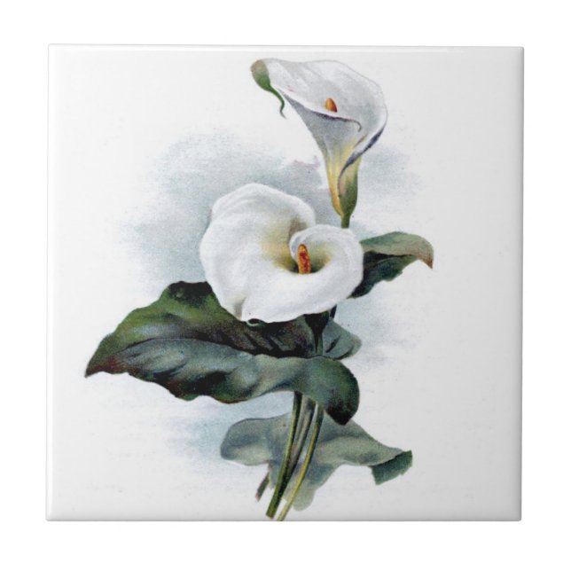 Carreau Vintage calla lily (Devant)