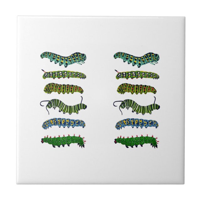 Carreau Vintage Caterpillar Illustration Mug  (Devant)