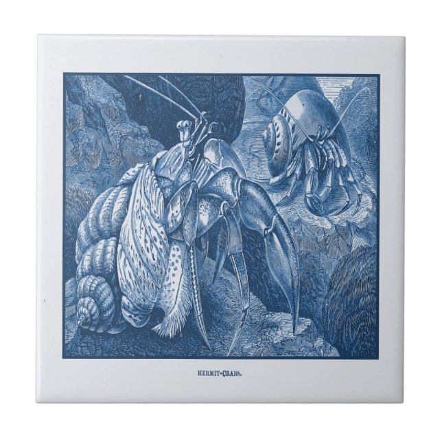 Carreau Vintage Delft Blue Hermit Crabs Etching (Devant)
