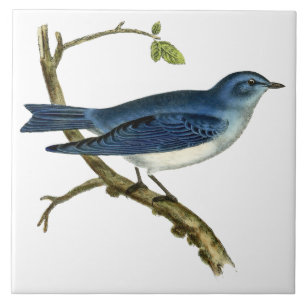 Carreau Vintage époque victorienne 1825 Bluebird Art