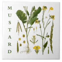 Vintage Kitchen Art: Mustard Herbs & Spices Plants