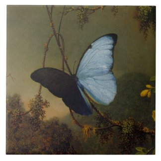Carreau Vintage Martin Johnson Heade Blue Morpho Butterfly