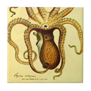 Carreau Vintage Pieuvre No. 46 Dessous de Verre en Céram