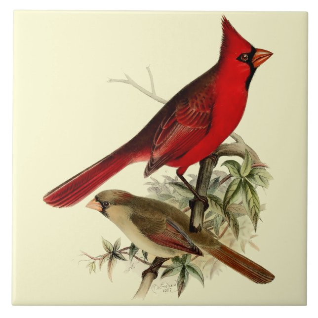 Carreau Vintage Red Cardinal Birds (Devant)