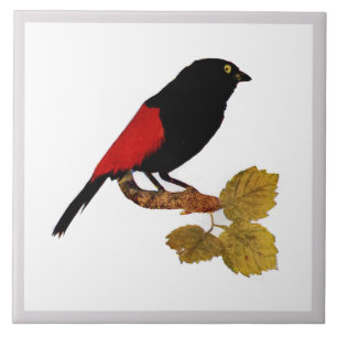Carreau Vintage Rouge rouge brillant Oiseau et feuillage c
