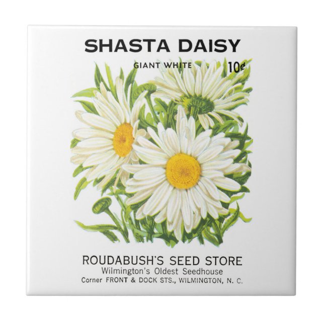 Carreau Vintage Seed Packet Art, Shasta Daisy Flowers (Devant)