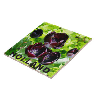 Carreau Vintage violet noir Tulipes vert Fleurs Hollande