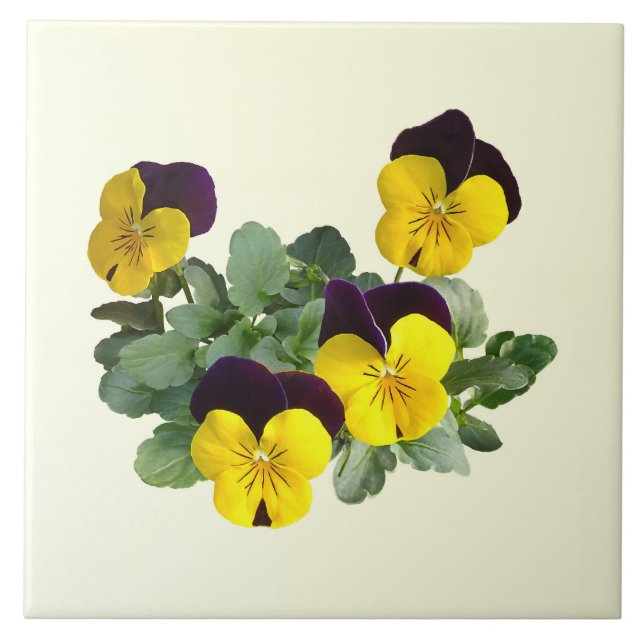 Carreau Violas Sorbet Saut Jaune (Devant)