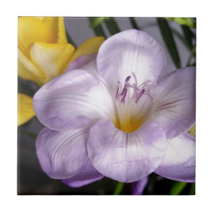 Carreau violet freesia