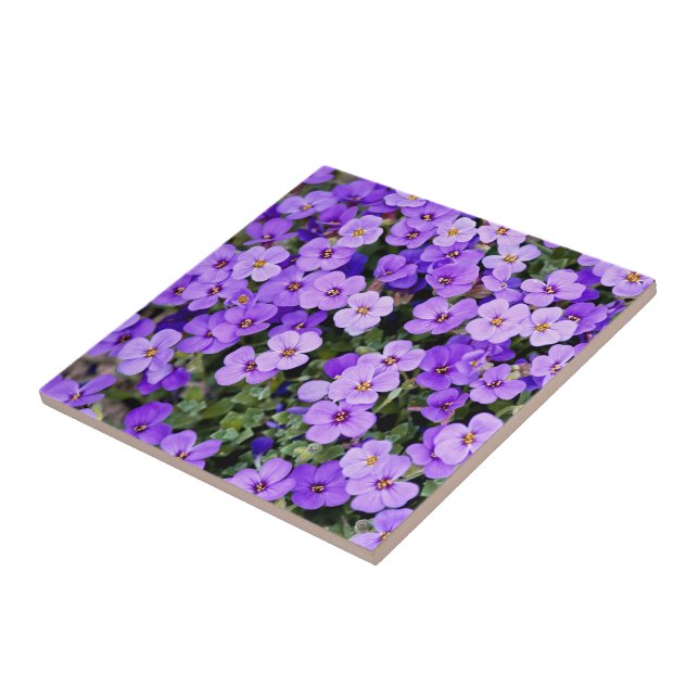 Carreau Violets (Côté)