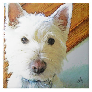 Carreau Visage de chien de Westie, vous regardant