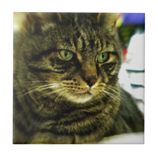 Carreau Visage de Tabulation Jaune Vert (Devant)