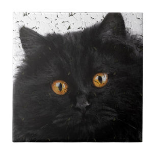 Carreau Visage Persan Noir