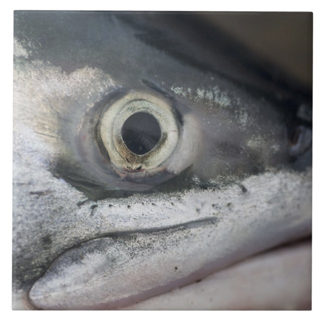 Carreau Visage Saumon argenté (Devant)
