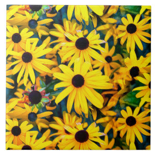 Carreau Vivid Black Eyed Susan Rudbeckia Melange