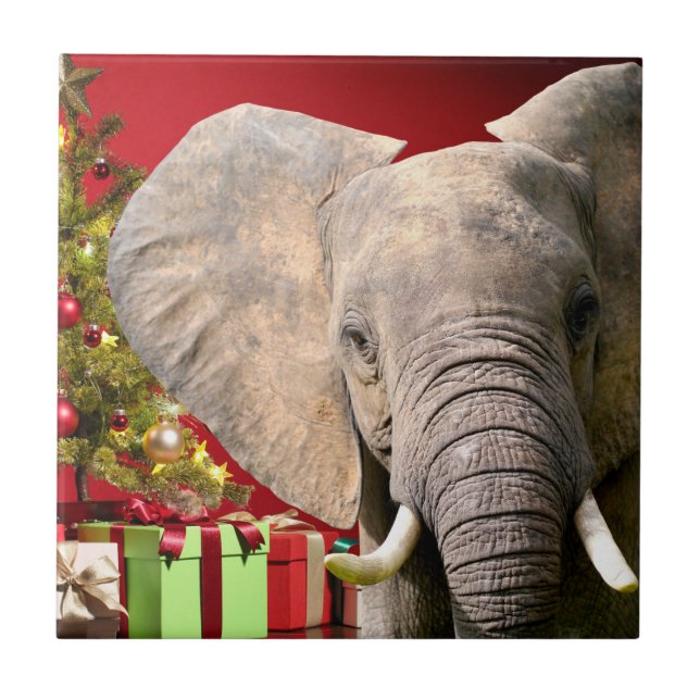 Carreau Vœux de Noël d'éléphant (Devant)