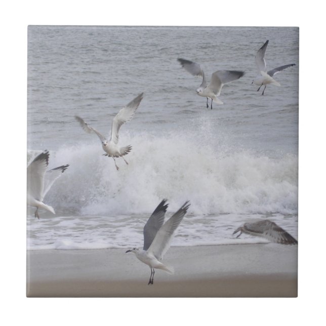 Carreau Vol (Devant)