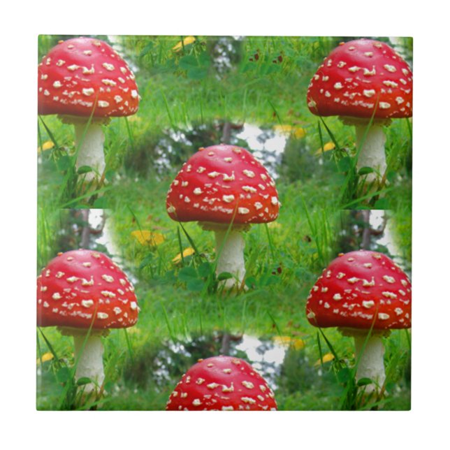 Carreau Voler les champignons de l'Agaric (Devant)
