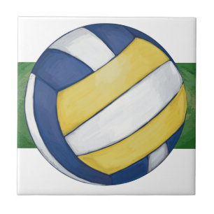 Carreau Volleyball