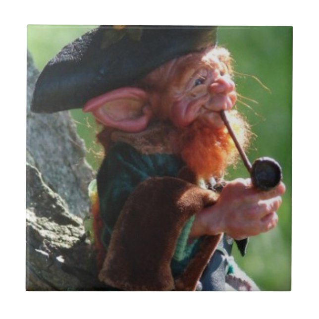 Carreau vrai lutin (Devant)