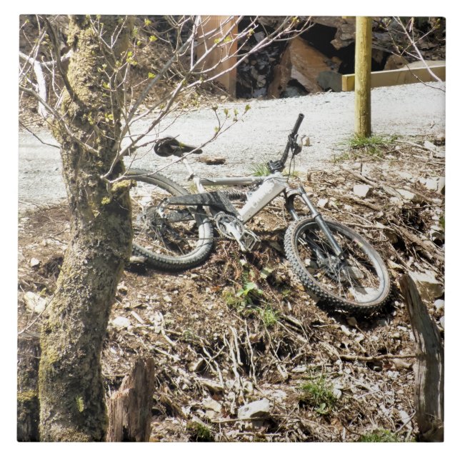 CARREAU VTT (Devant)