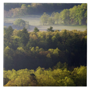 Carreau Vue aérienne de la forêt à Cades Cove, Great Sm