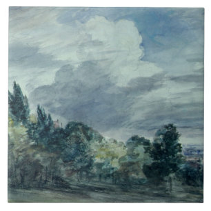 Carreau Vue au-dessus d'un paysage large, avec des arbres
