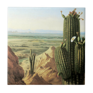 Carreau Vue de la montagne Maricopa près de la rivière Gil