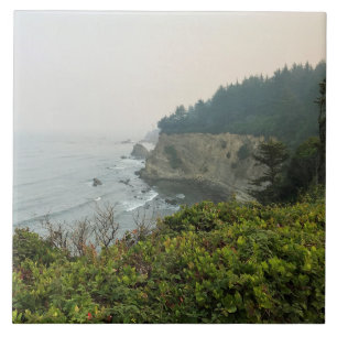 Carreau Vue de Simpson Reef Overlook, Côte de l'Oregon