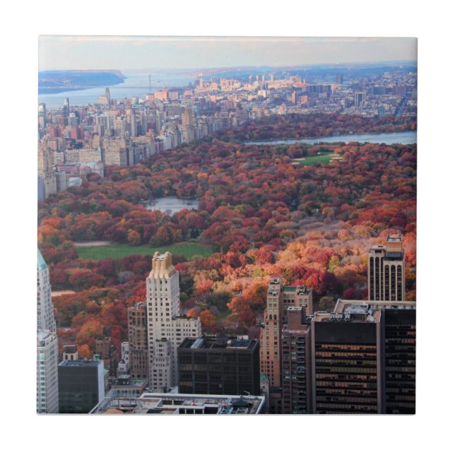 Carreau Vue d'en haut : Automne à Central Park 01 (Devant)