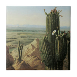 Carreau Vue depuis le mont Maricopa près de Rio Gila par P