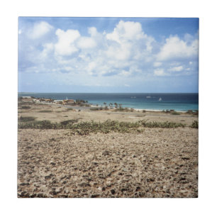 Carreau Vue océanique rocheuse d'Aruba