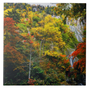 Carreau Vue pittoresque de l'automne Hagoromo Falls Hokkai