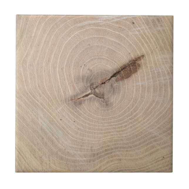 Carreau Vue supérieure des anneaux annuels du plan (Devant)