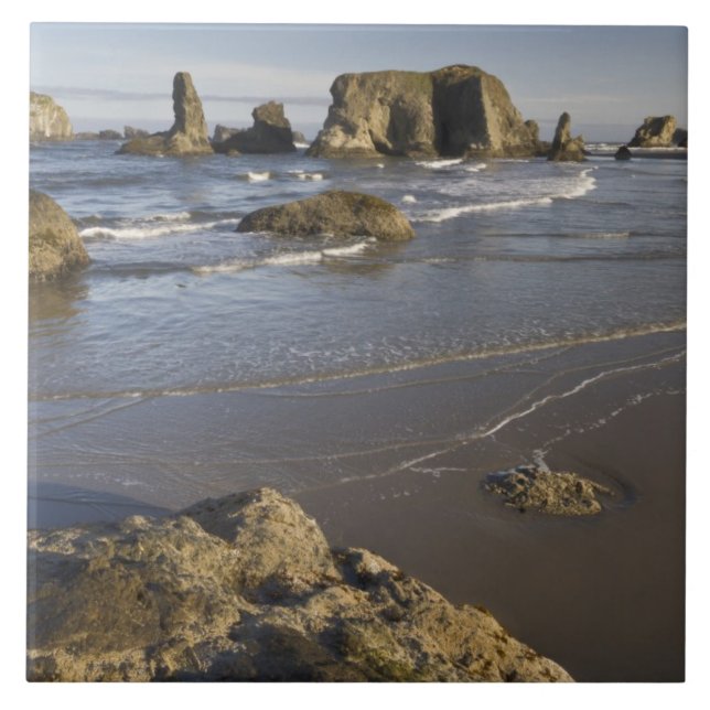 Carreau Vue sur le littoral, Bandon, Oregon (Devant)
