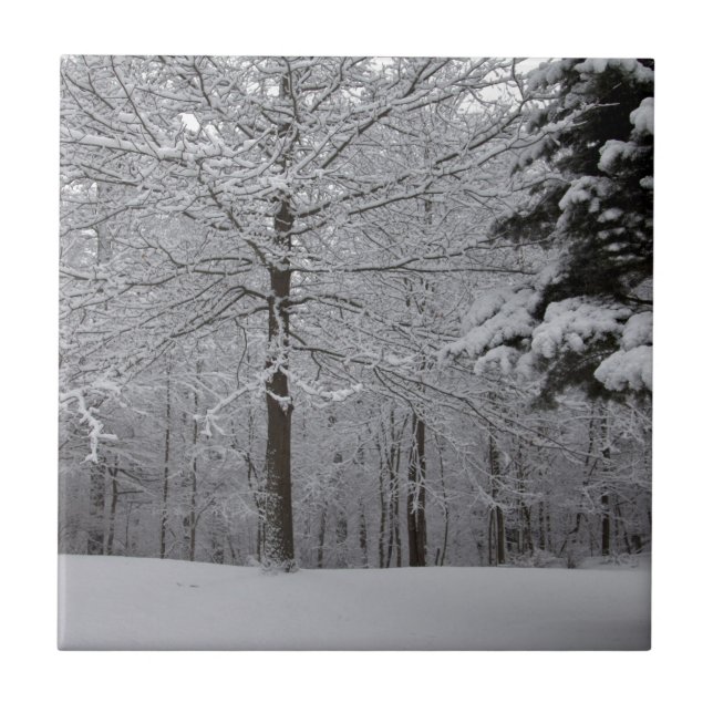 Carreau Vue Woods (Devant)
