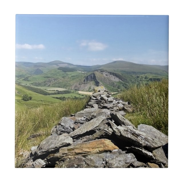 CARREAU VUES DES ALLES (Devant)