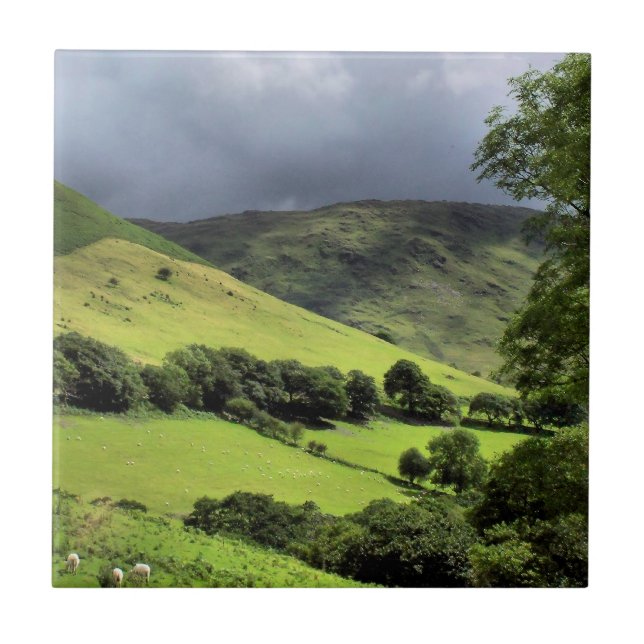 CARREAU VUES SUR WALES UK (Devant)