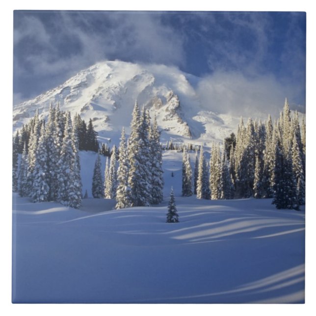 Carreau WA, Mt Rainier NP, Mt Rainier et Paradise (Devant)