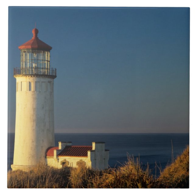Carreau WA, parc d'État de Cape Disappointment, North Head (Devant)