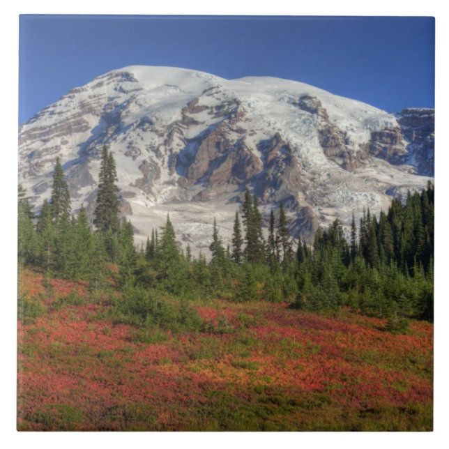 Carreau WA, Parc national du Mont-Rainier, Paradise Valley (Devant)