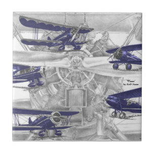 Carreau Waco biplane