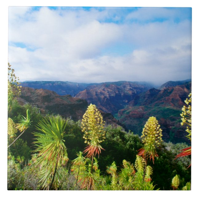 Carreau Waimea Canyon | Kauai, Hawaii (Devant)