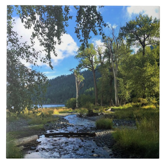 Carreau Wallowa Lake State Park, OR (Devant)