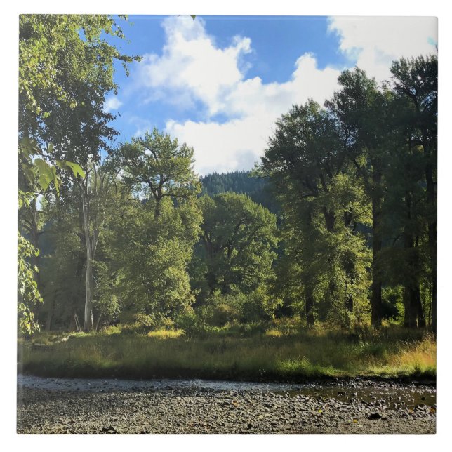 Carreau Wallowa Lake State Park, OR (Devant)