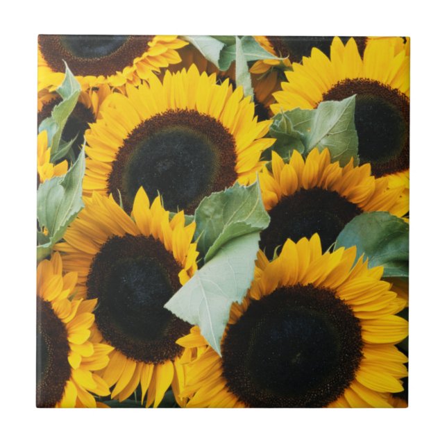 Carreau Washington, Seattle, Tournesol à vendre pike (Devant)