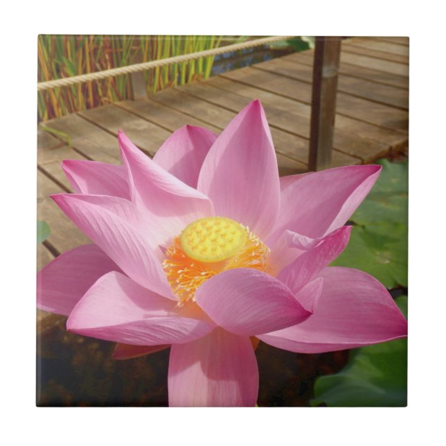 Carreau Water Lily Ceramic Tile (Devant)